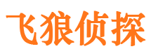 礼县市侦探调查公司